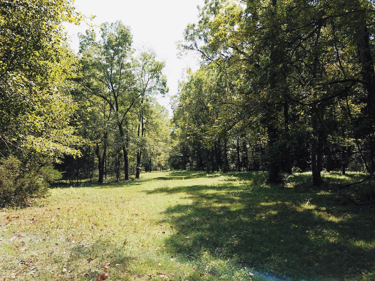00 Highway 5 - Photo 1