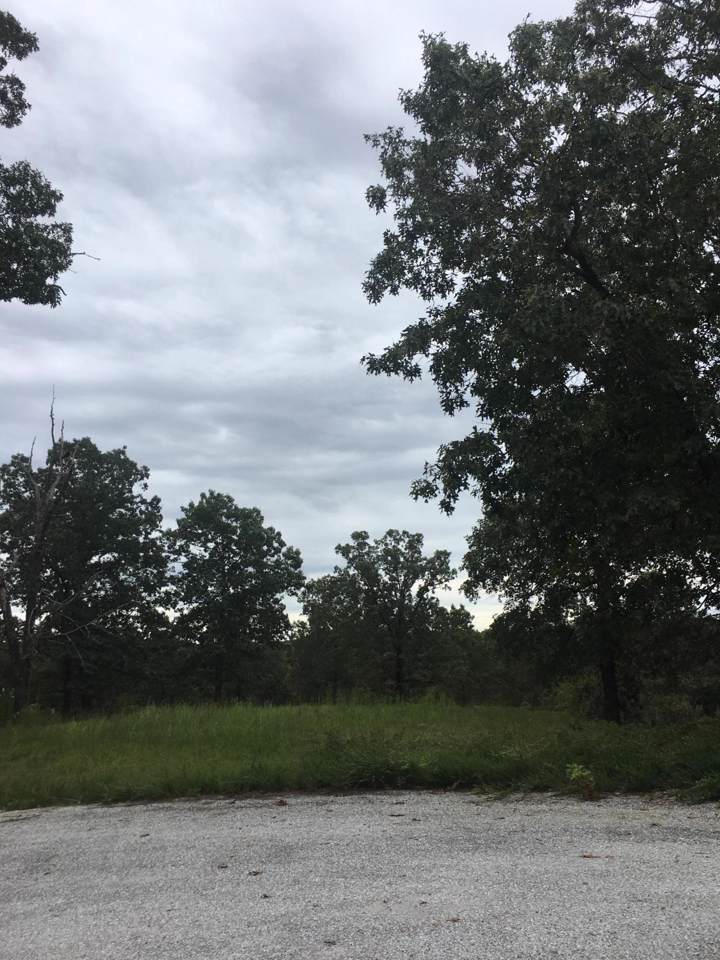 Lot 24-A Palomino Dr - Photo 1