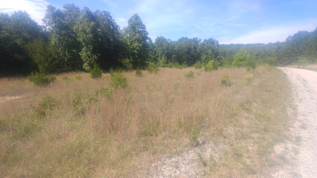 0 Lot 88 Niangua Ranch - Photo 1