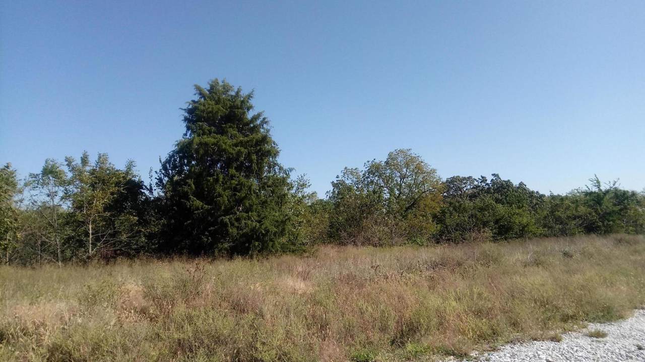 1070 430th Road - Photo 1