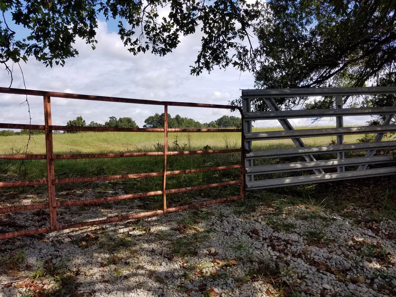 129 Cassity Road - Photo 1