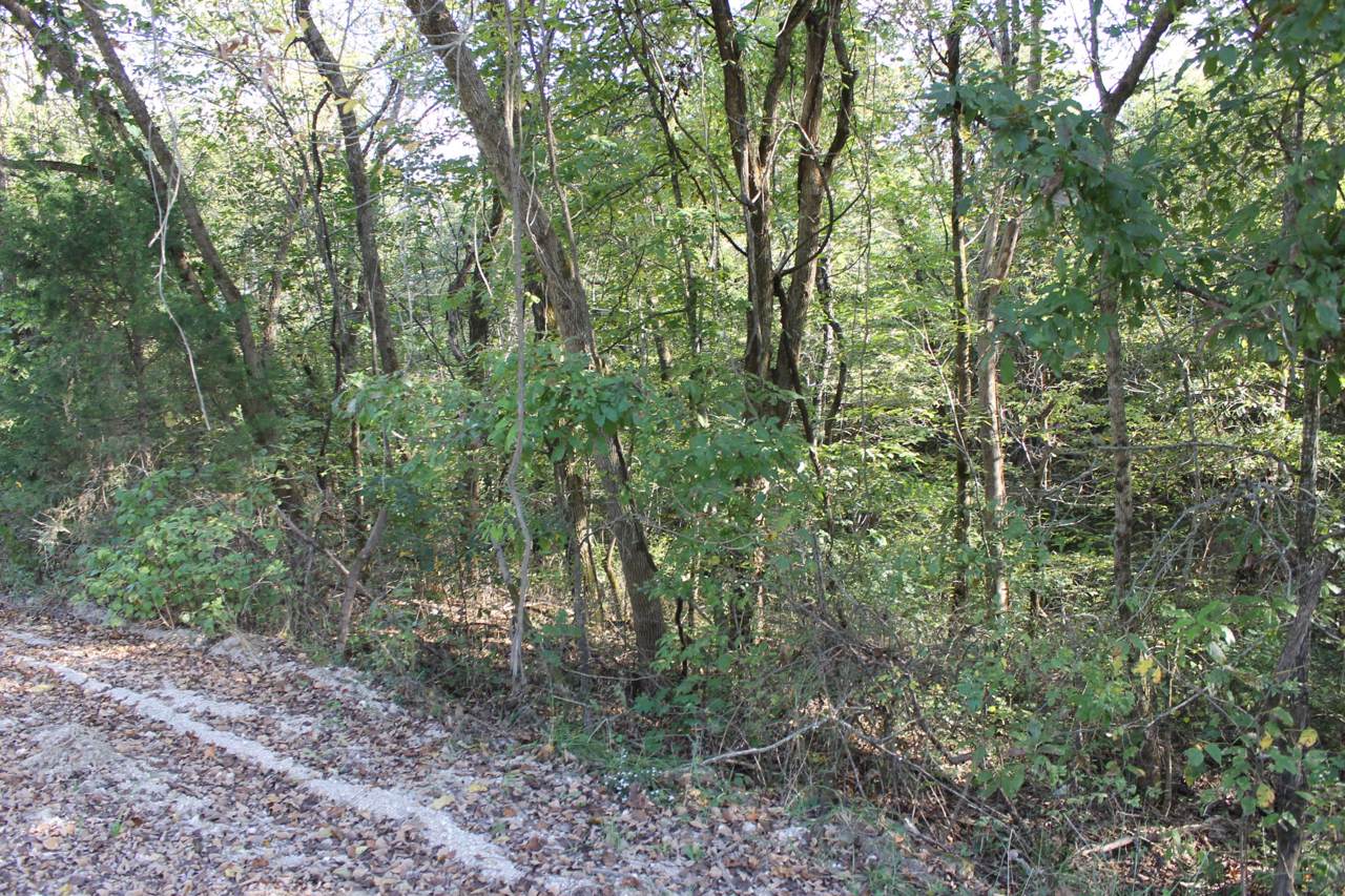 Tbd A Watermill Road - Photo 1