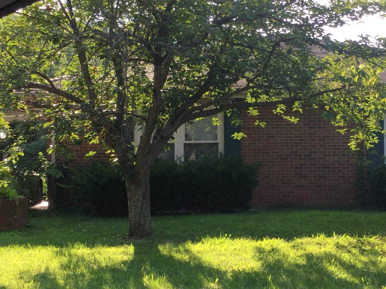 742 Wildan Avenue - Photo 1