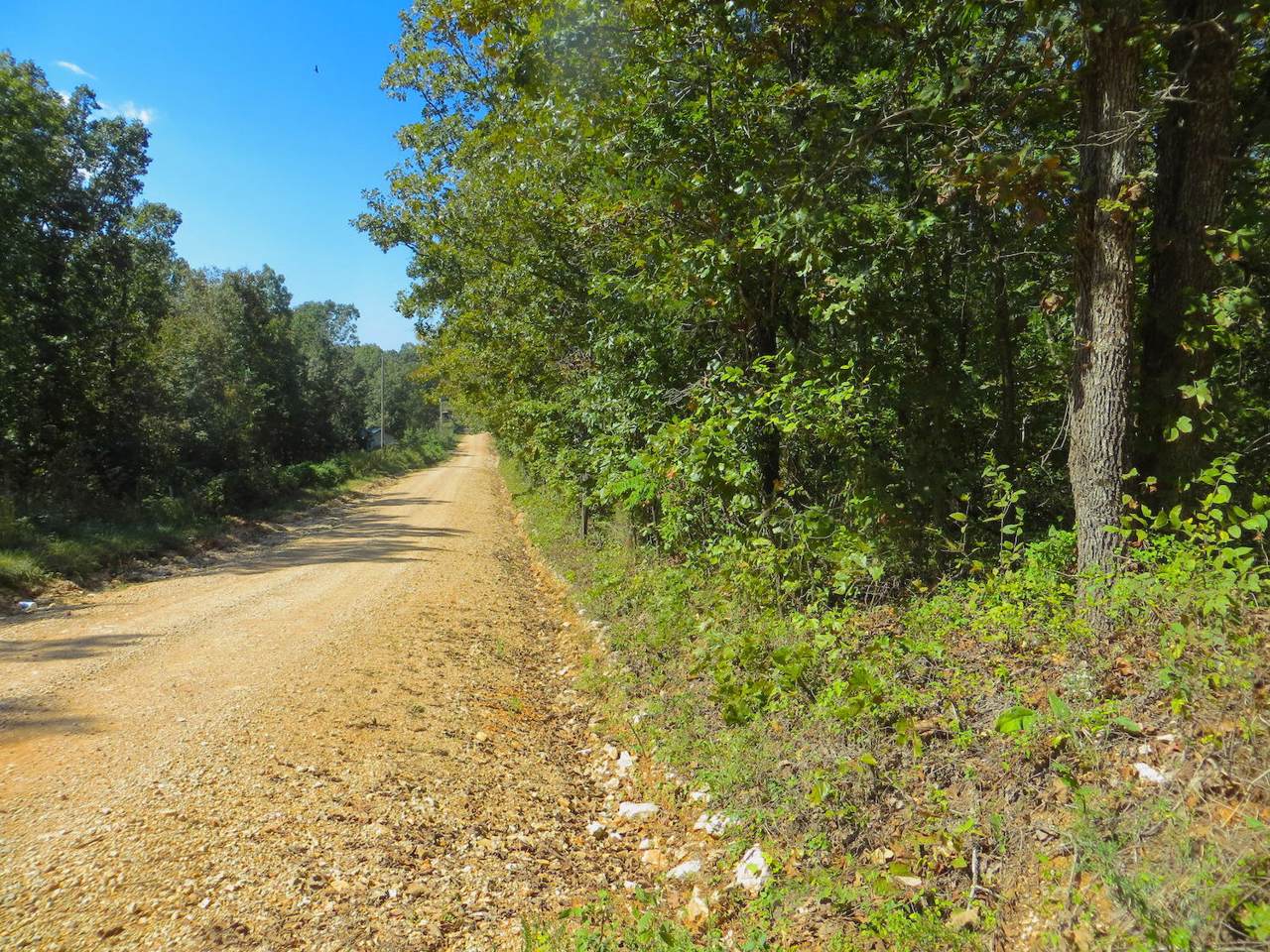 Rr 74 County Road 104 & 121 - Photo 1