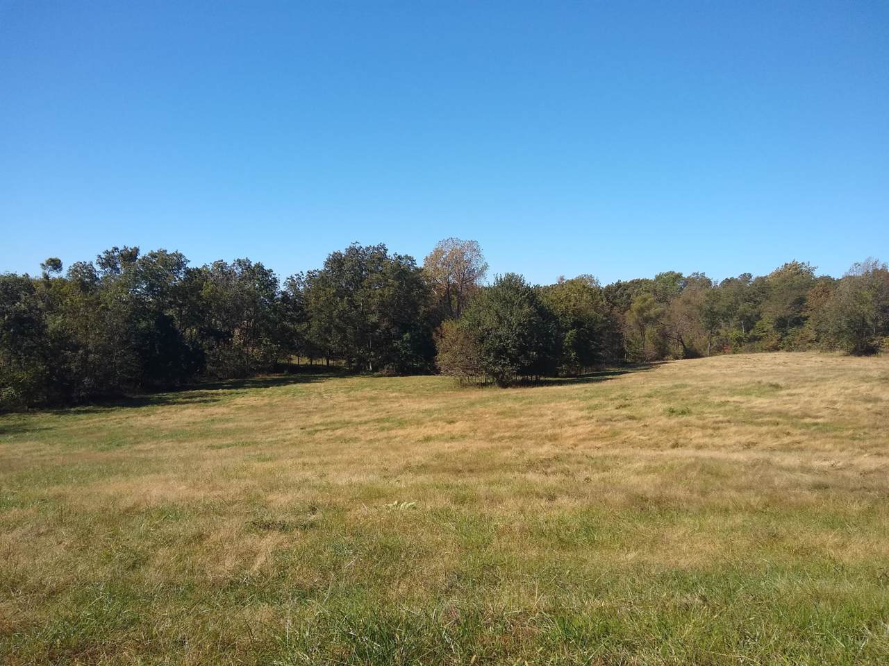 4120 1401 Road - Photo 1
