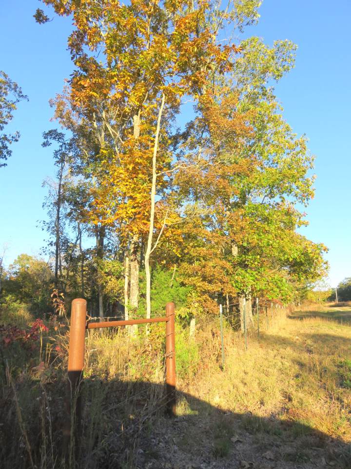 0 Sixteenth Lane - Photo 1