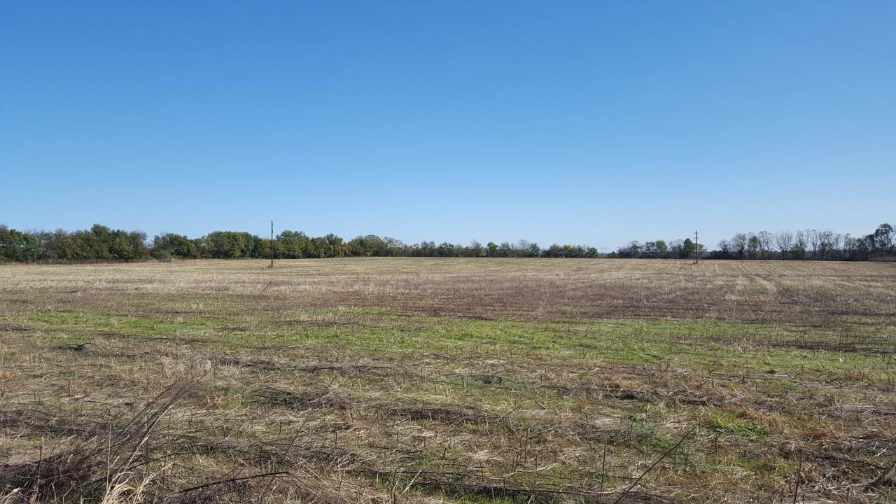 2062 Farm Road 107 - Photo 1 2062 Farm Road 107 - Photo 1