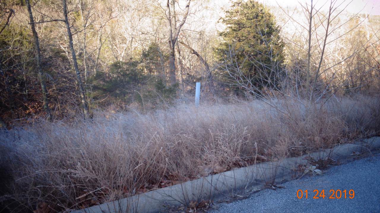 Lot 192 Syler Cir - Photo 1