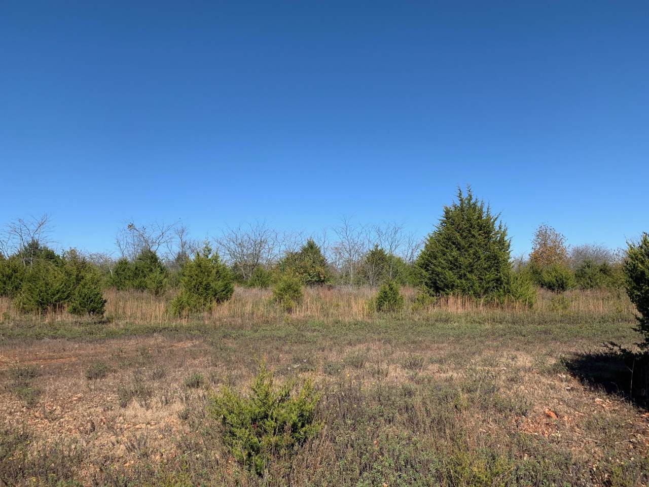 0 Indian Valley Drive - Photo 1
