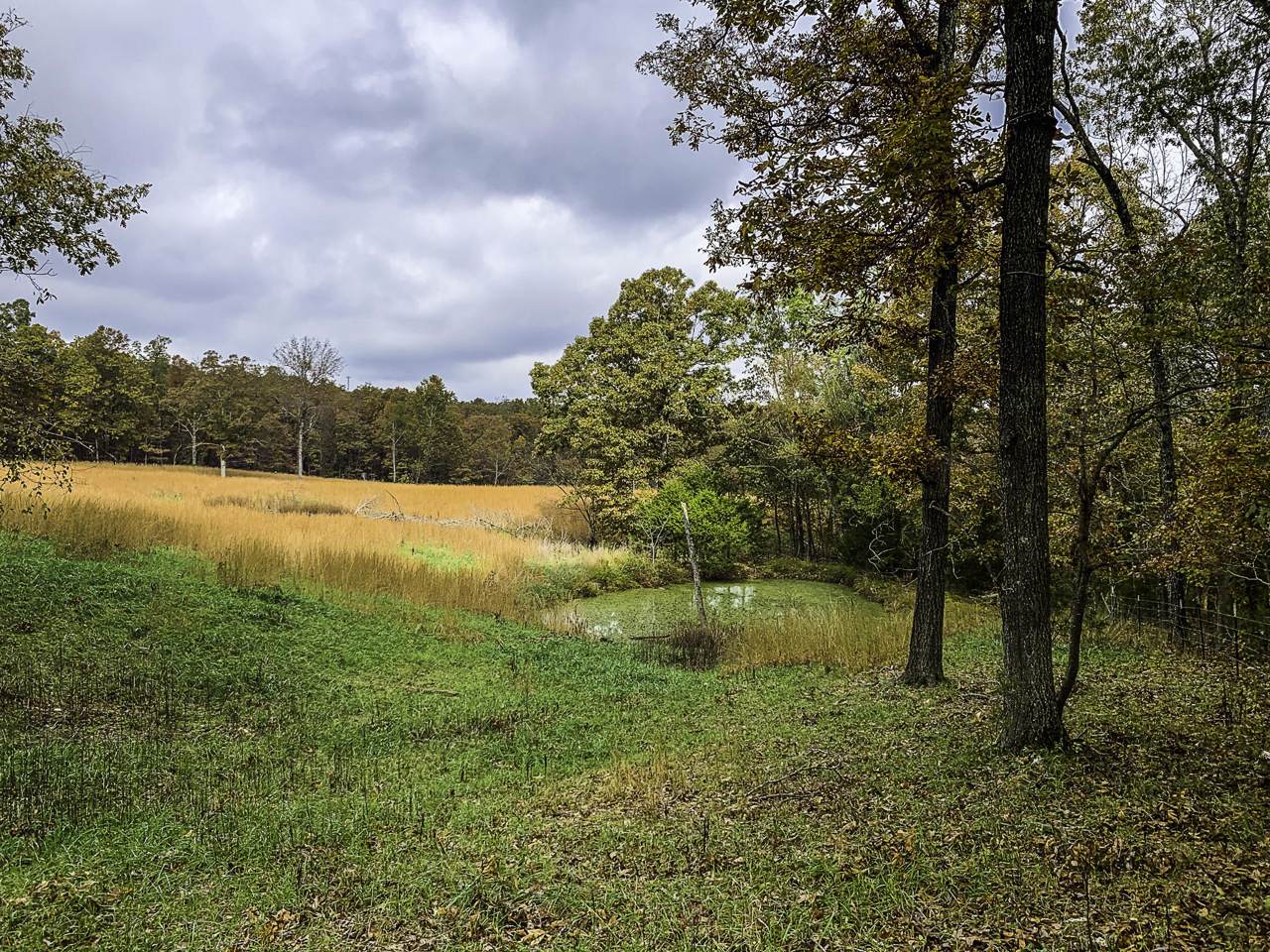 Tbd County Road 530 - Photo 1