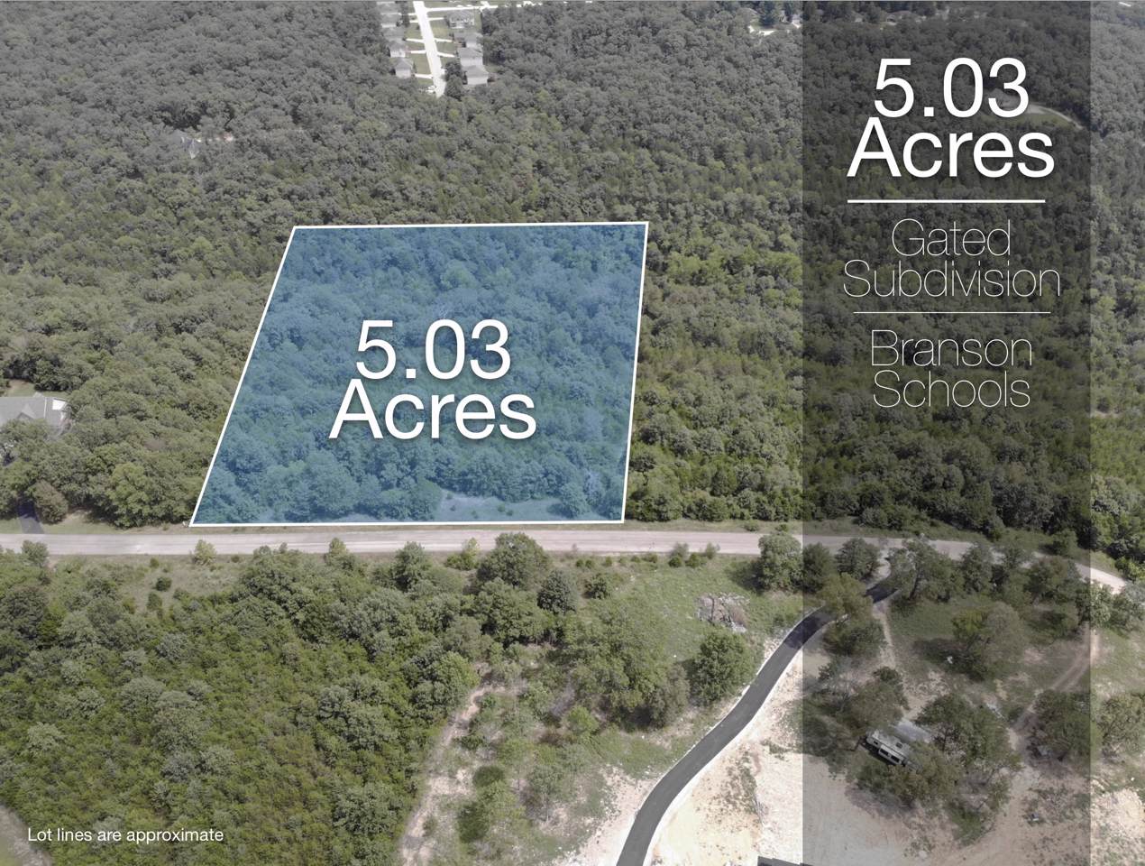 Lot 16 Turkey Trail - Photo 1