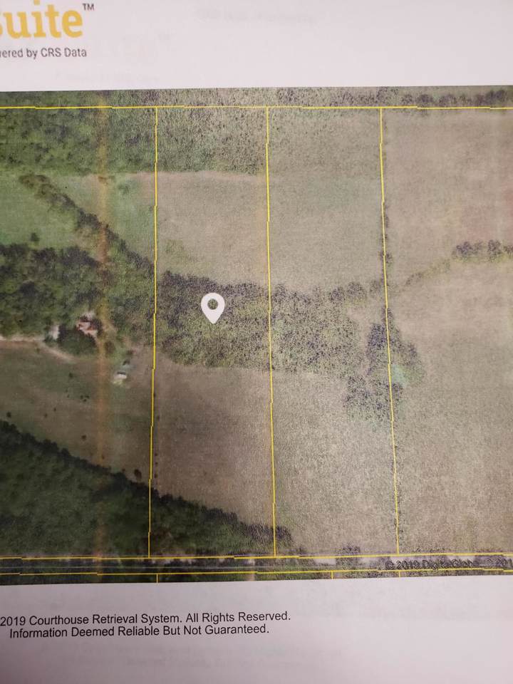 10 Ac Delzell Woods Road - Photo 1