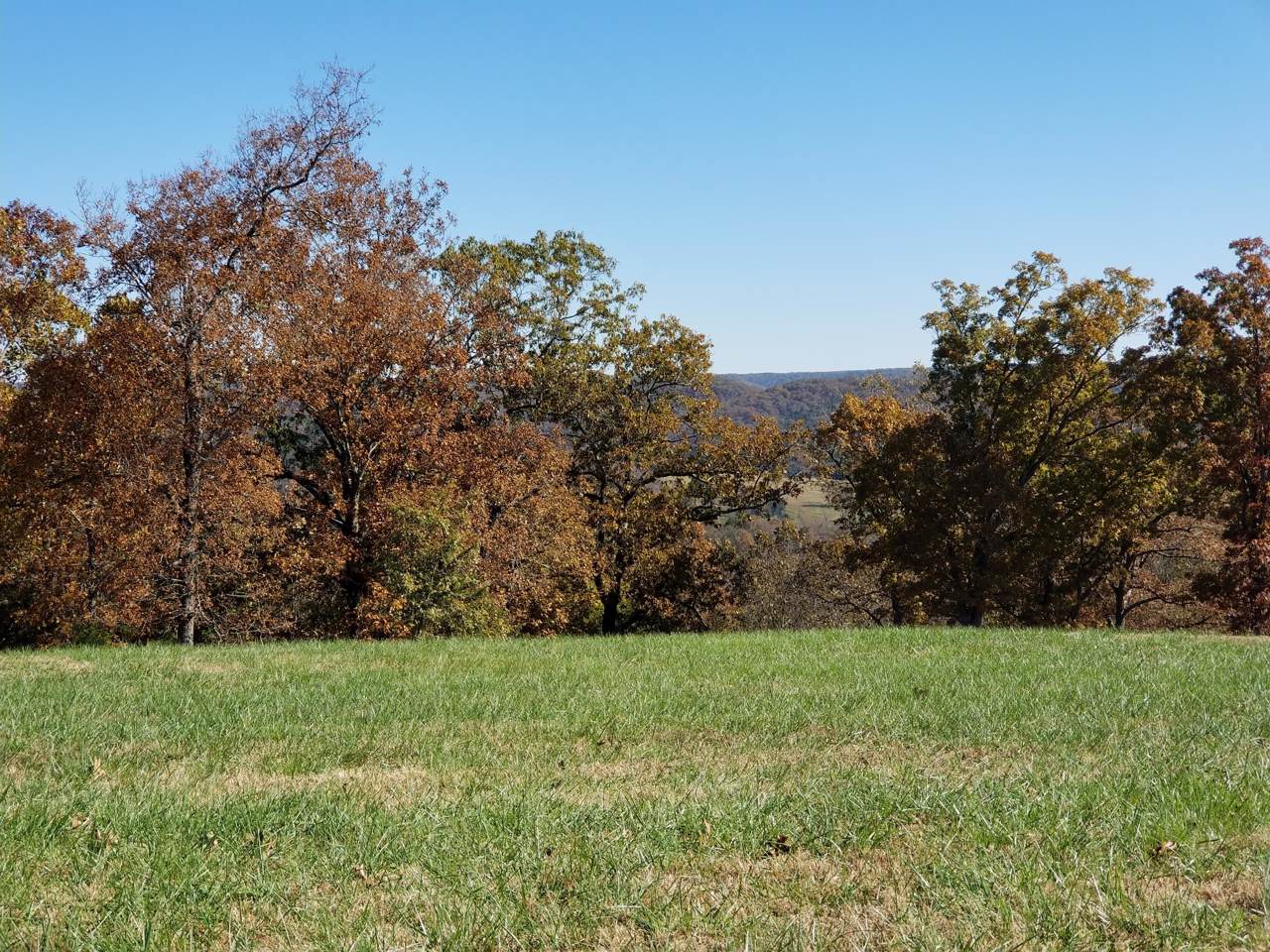Lot 515 Forest View - Photo 1
