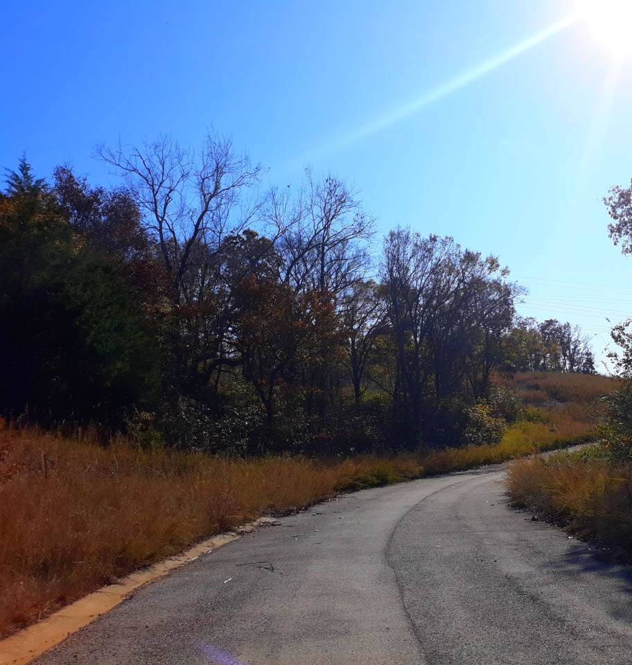 Lot 301 Emerald Isle Drive - Photo 1
