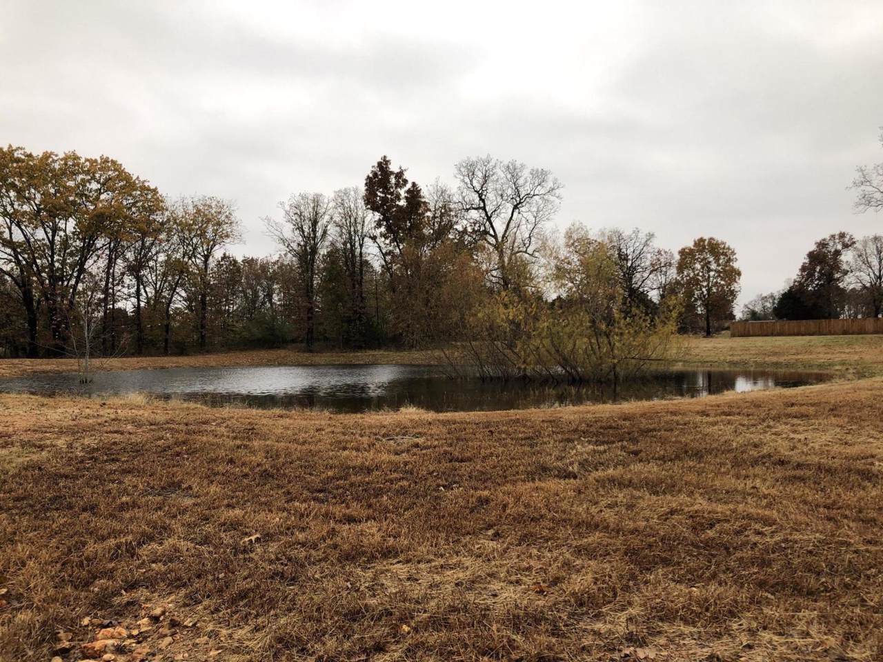 Tbd Green Brier Road - Photo 1