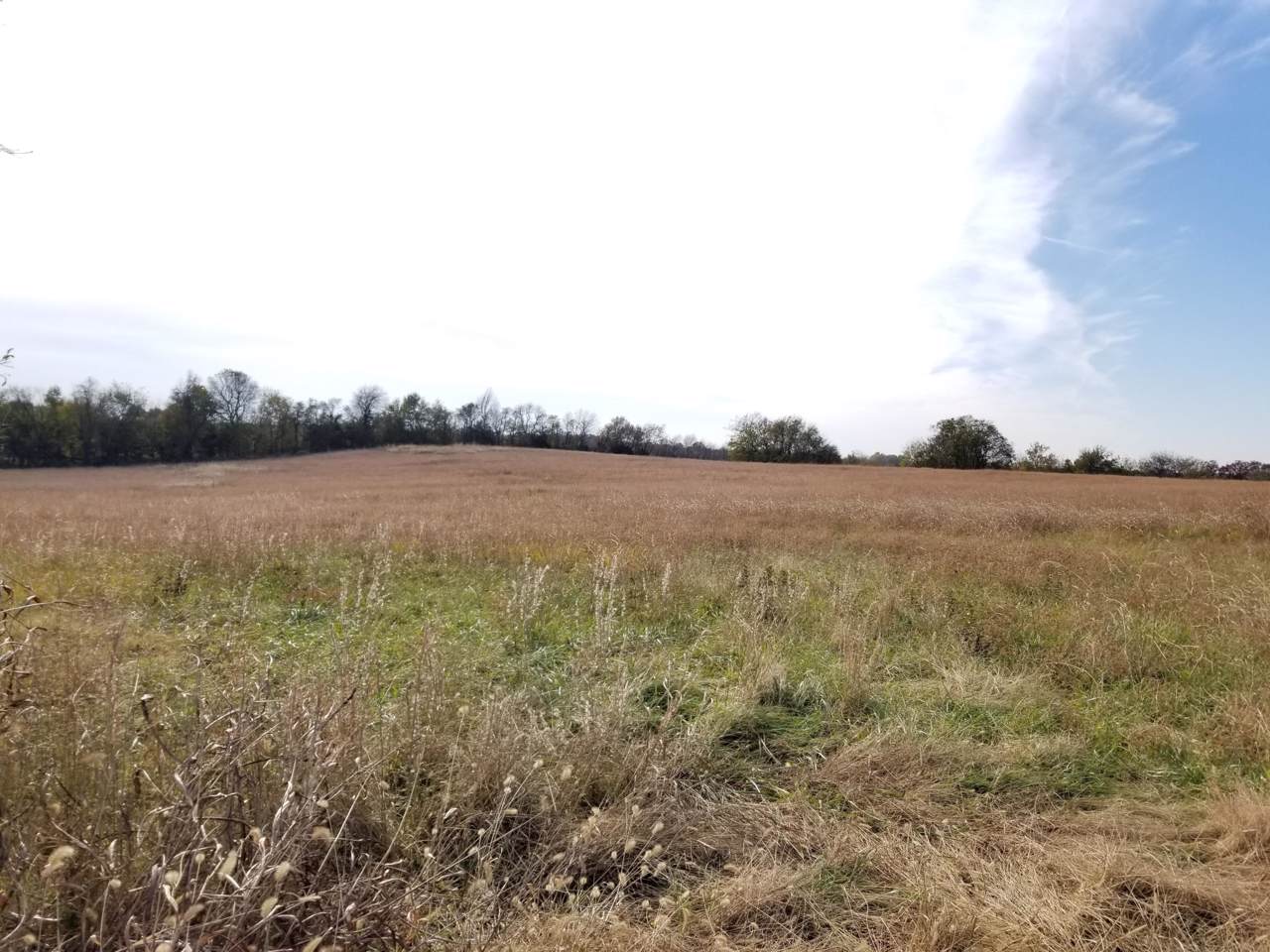 10409 State Hwy 43 - Photo 1