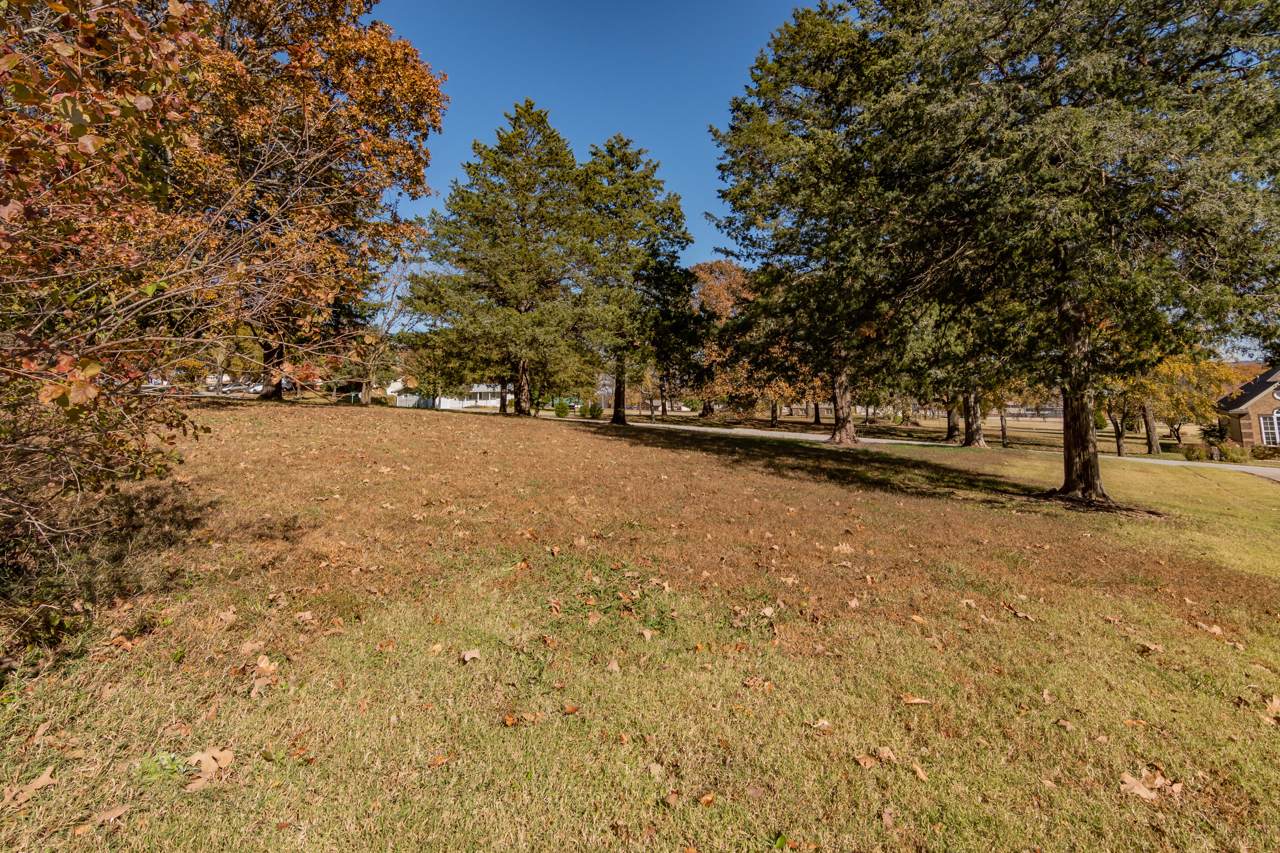 Lots 1 & 2 Walnut - Photo 1