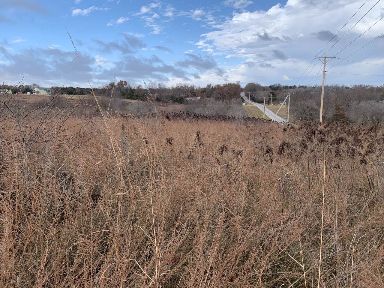 000 1501 Road - Photo 1
