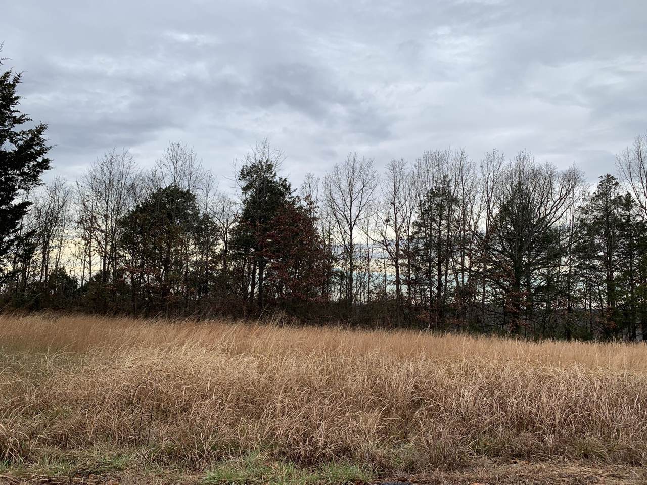 000 Lookout Road - Photo 1