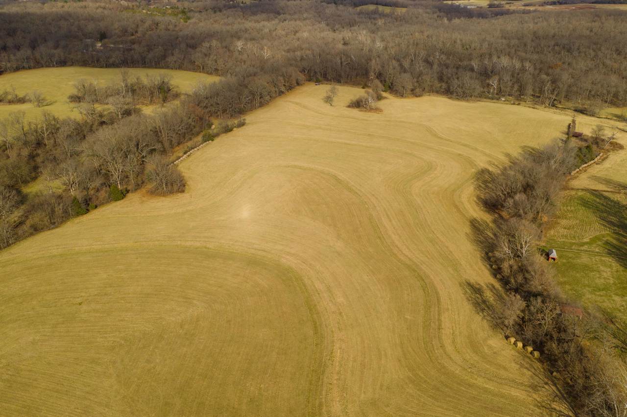 Tbd Farm Rd 94 - Photo 1
