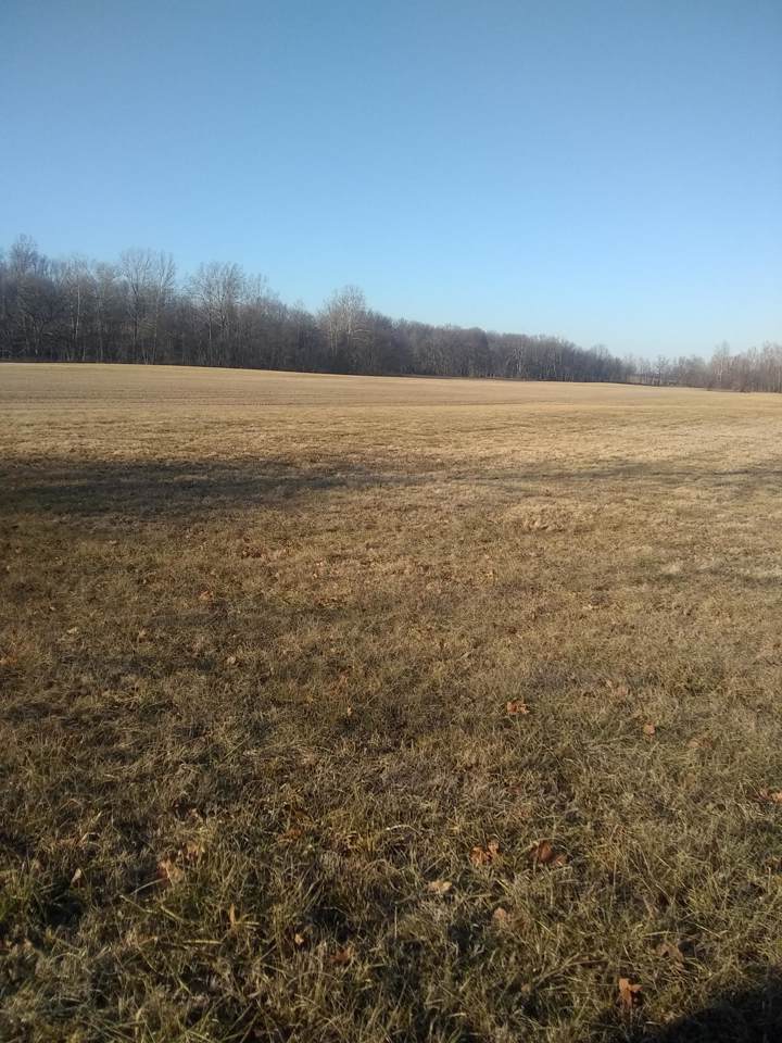 000 Scott Creek Road - Photo 1
