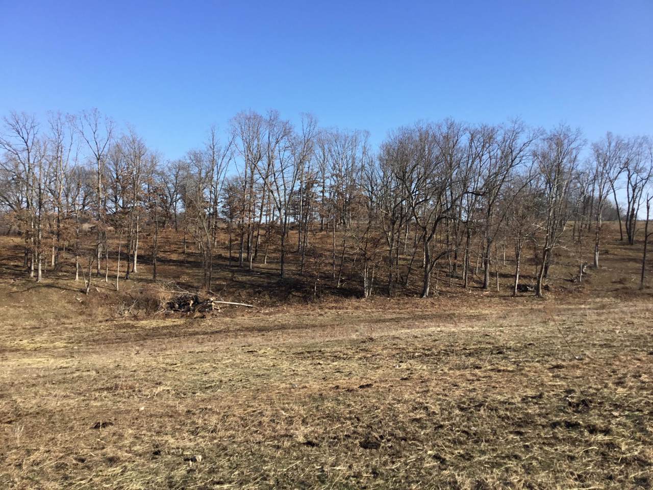000 State Highway M - Photo 1