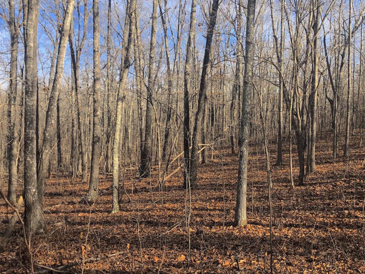000 Tract 3B Cr 121 - Photo 1