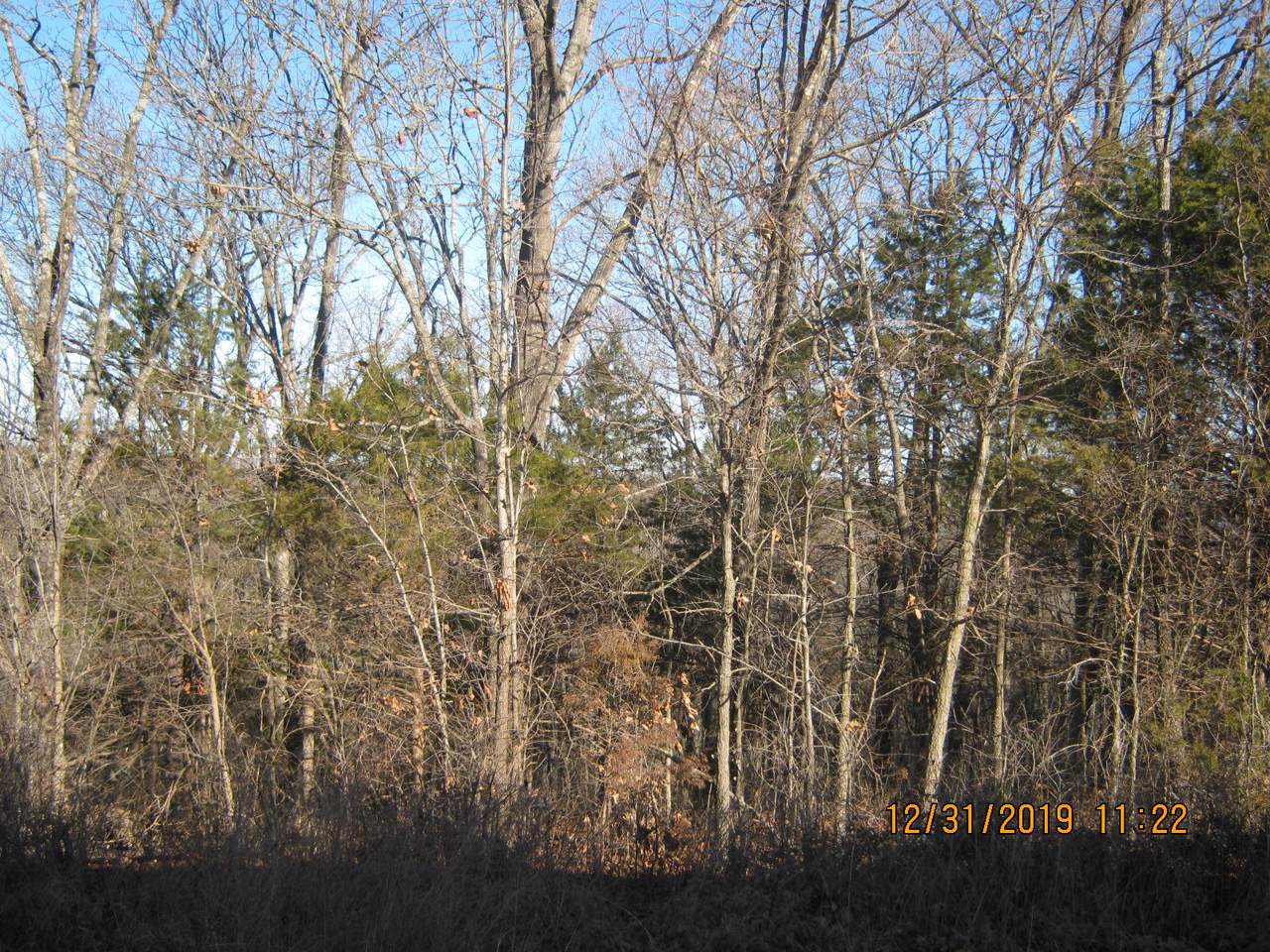 Tbd Shell Knob Estates - Photo 1 Tbd Shell Knob Estates - Photo 1