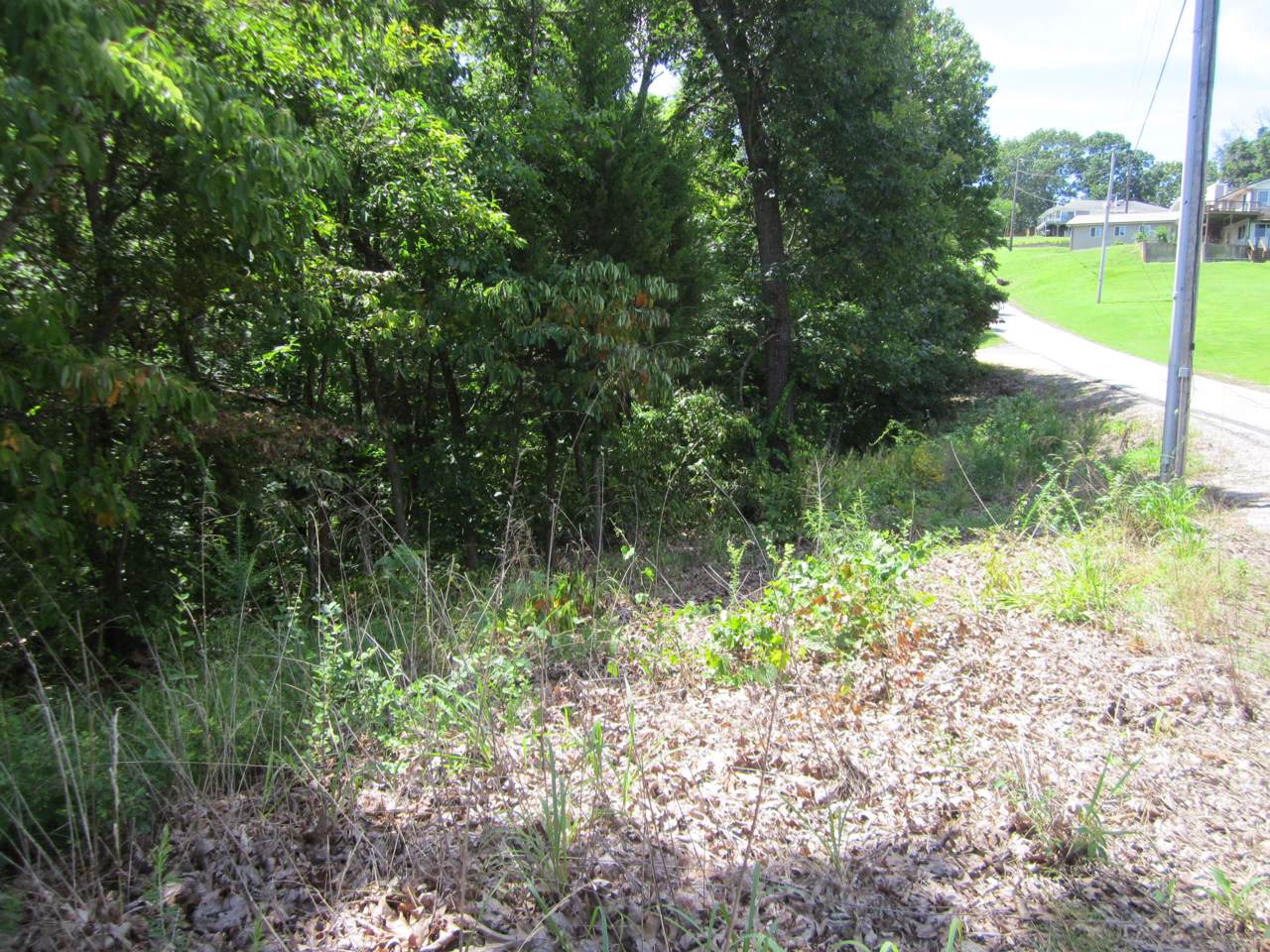 Lots 153a Dogwood Village Lane - Photo 1