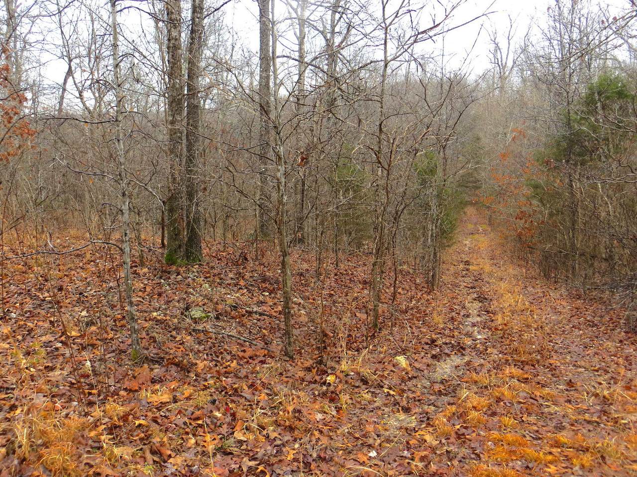 000 Ridge Haven - Photo 1
