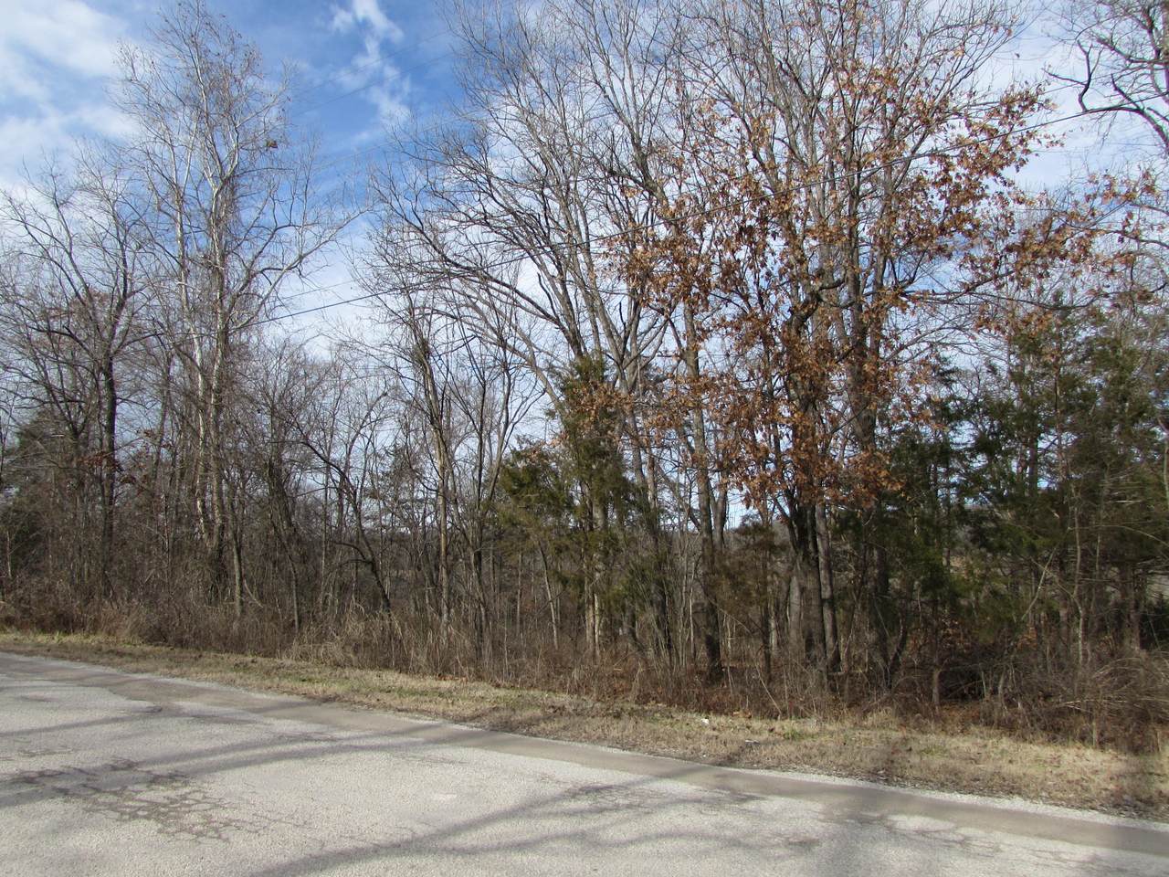 Tbd Greenwood Drive - Photo 1 Tbd Greenwood Drive - Photo 1
