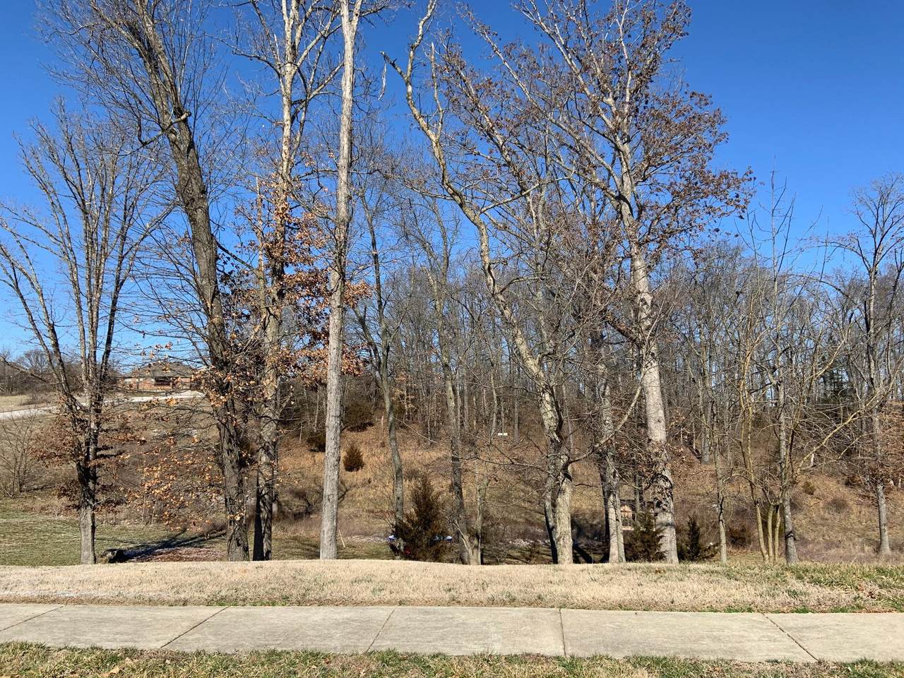 000 Richmond Way - Photo 1