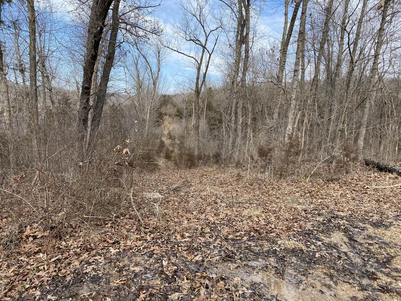5698 State Hwy H - Photo 1