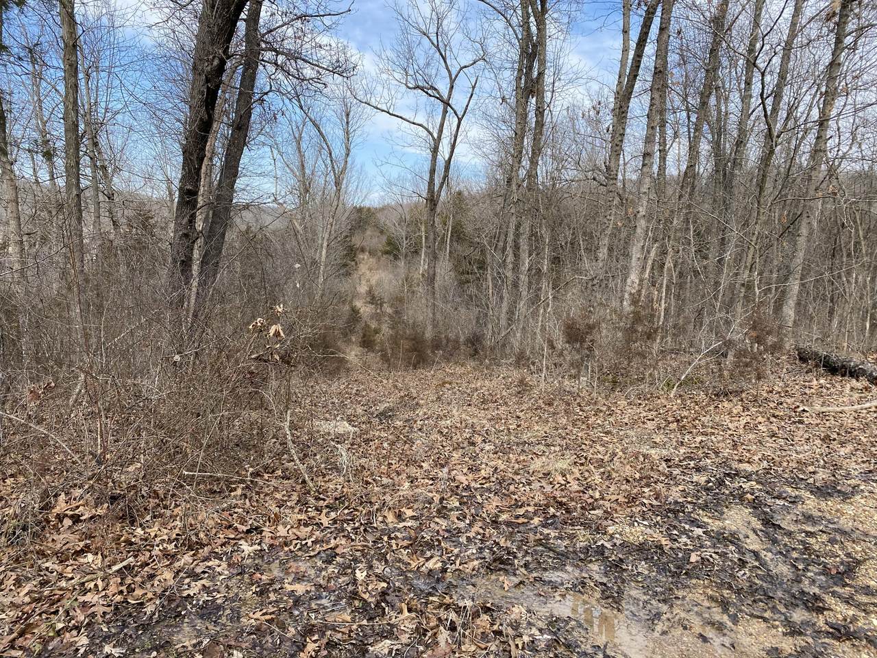5698 Hwy H - Photo 1