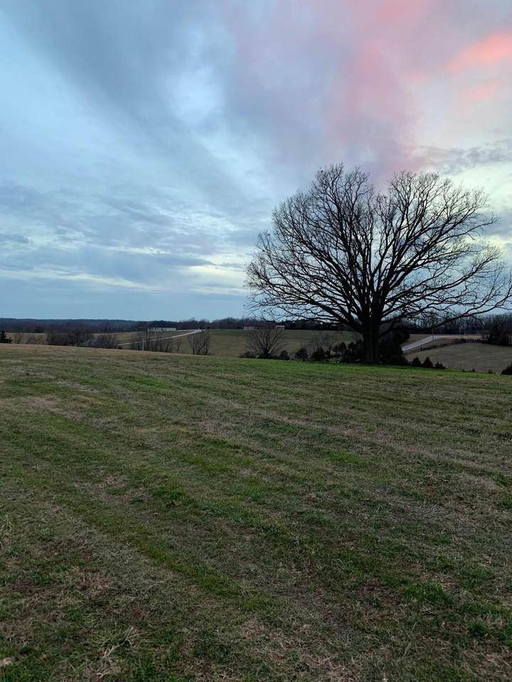 Lot 9 Ironridge Court - Photo 1