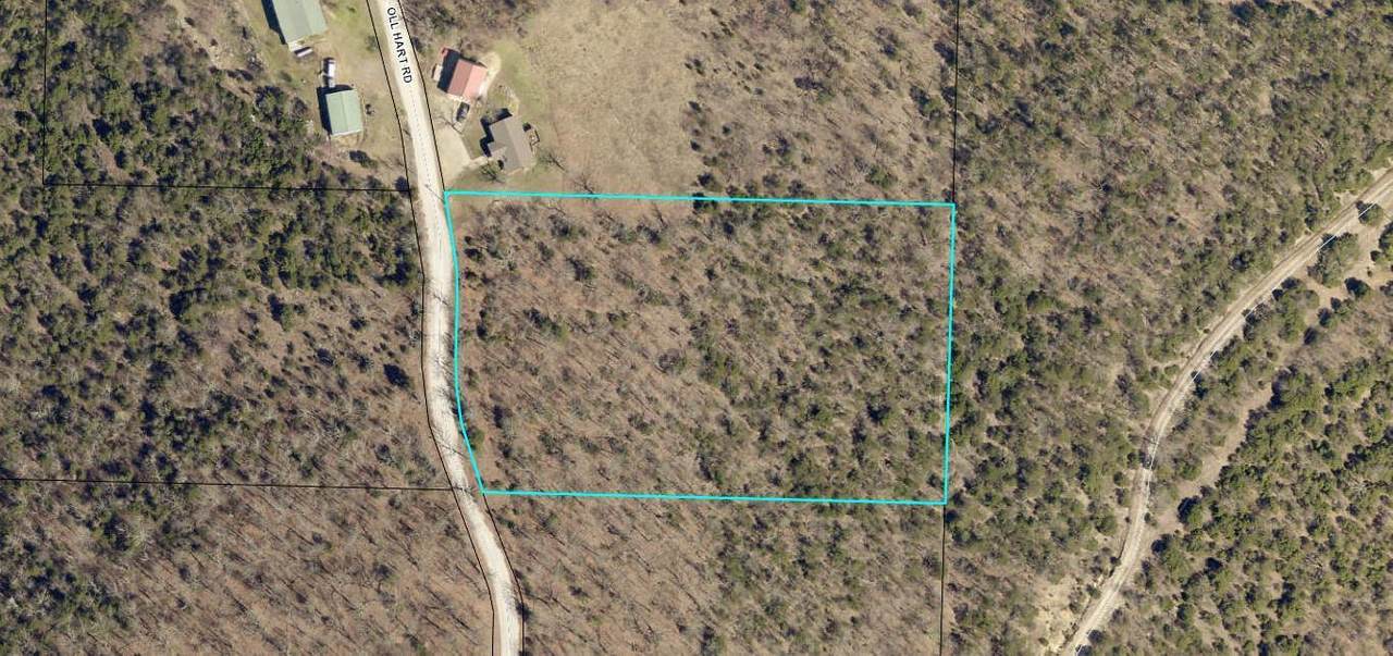 Tba Oll Hart Road - Photo 1