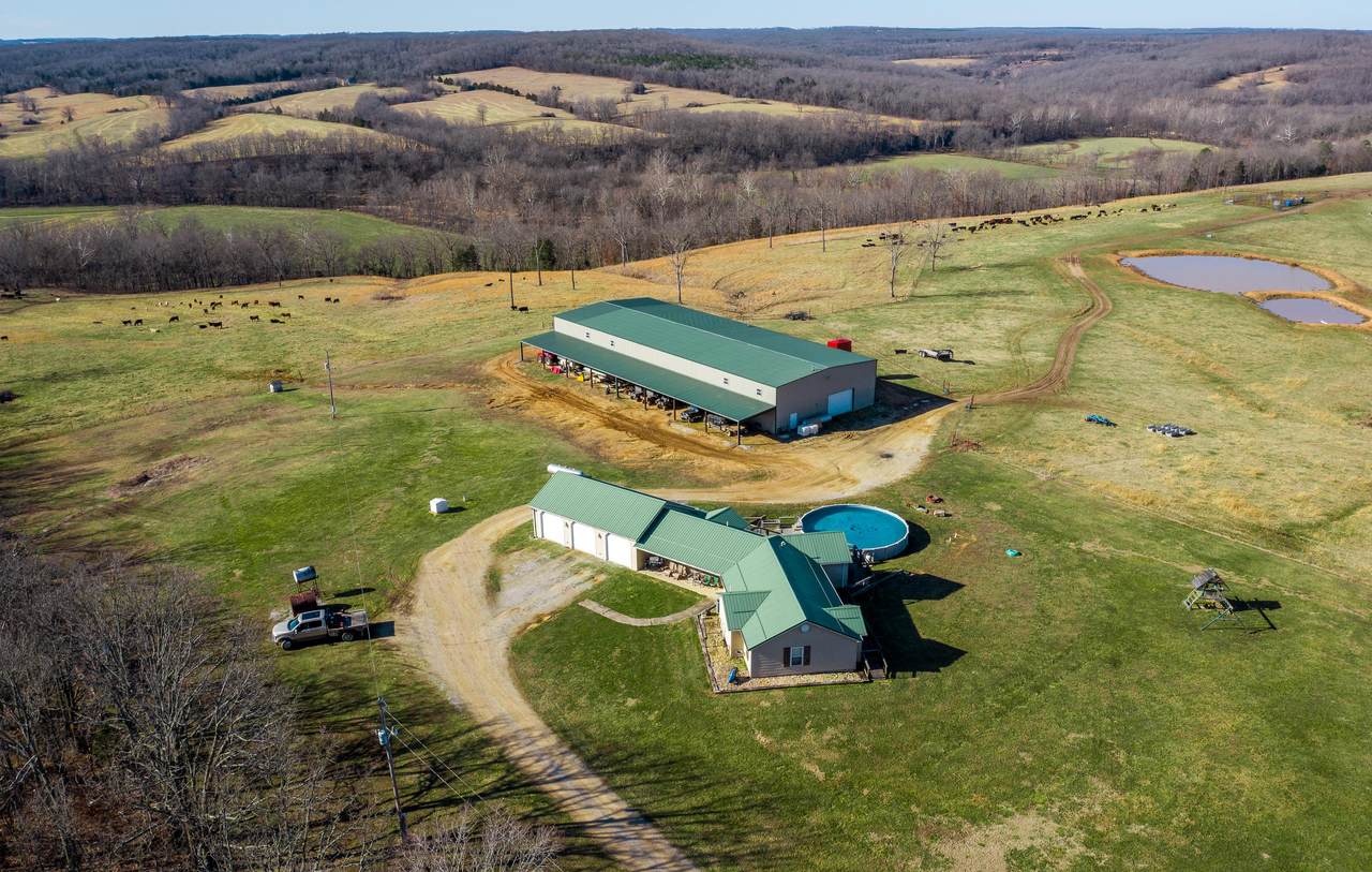 11153 Turley Road - Photo 1