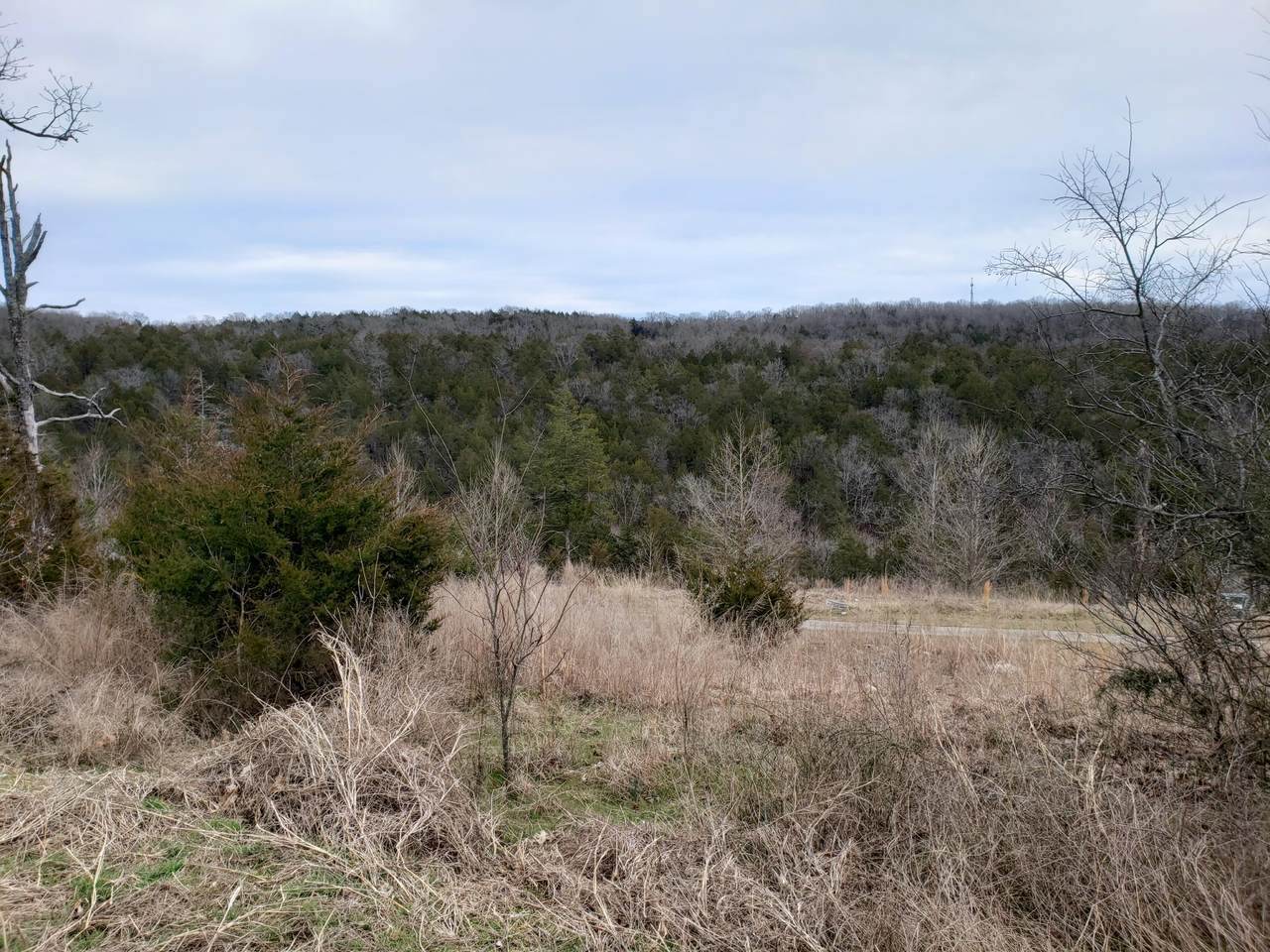 000-Lot 200r Country Ridge Way - Photo 1