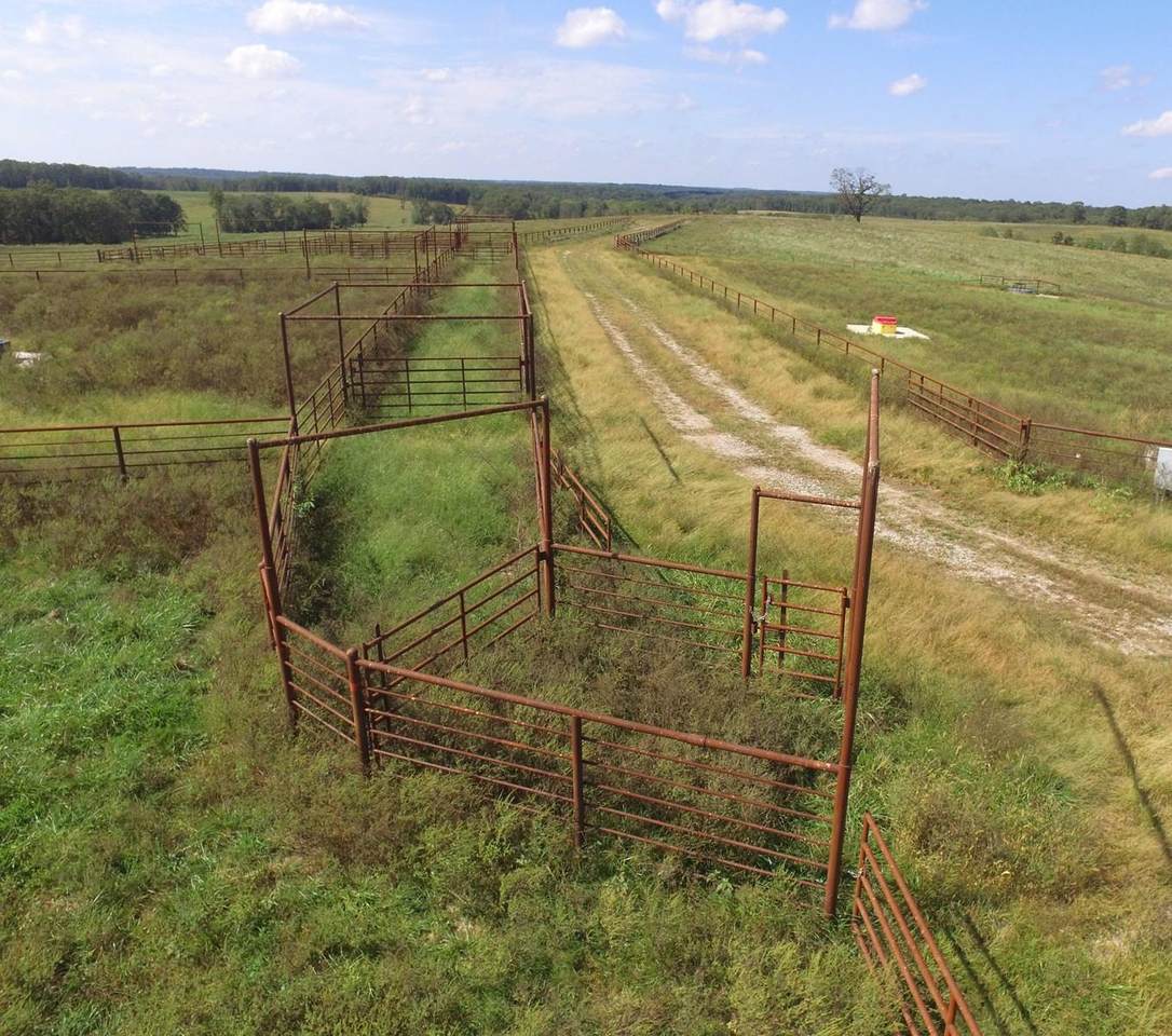Tbd Rawhide Road - Photo 1 Tbd Rawhide Road - Photo 1