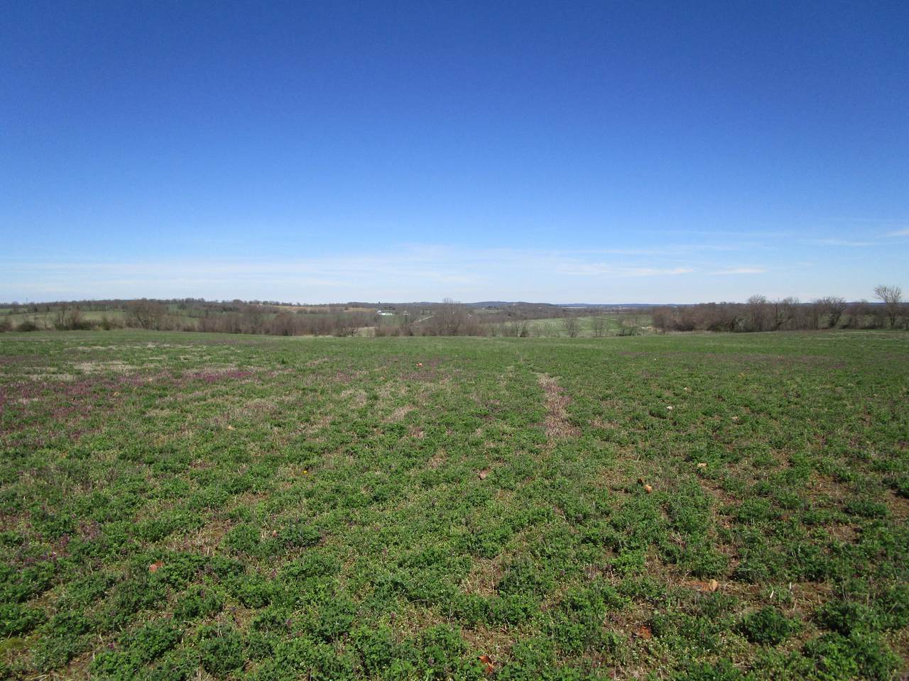 000 Hwy 215 - Photo 1