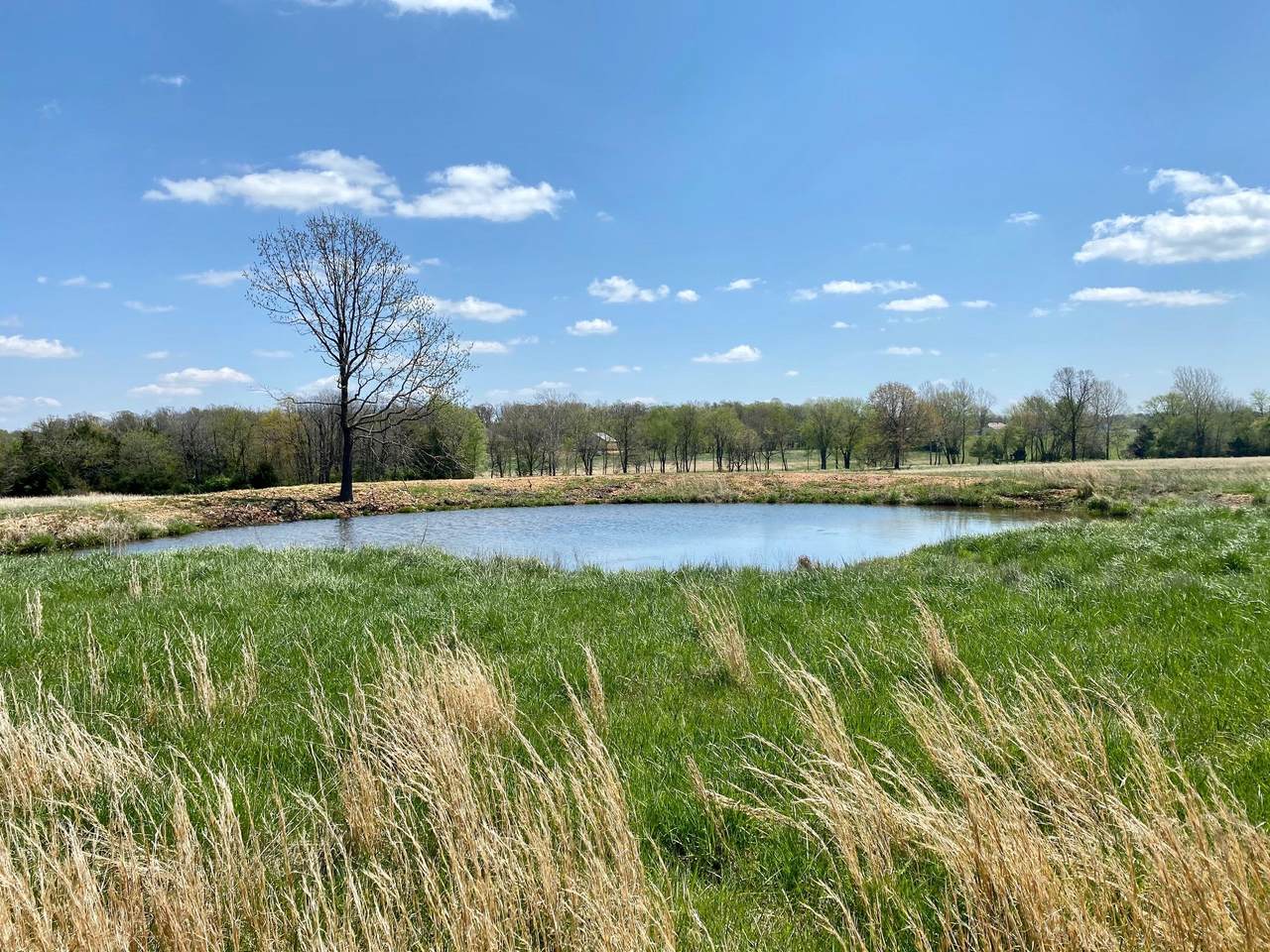2347 State Highway Pp - Photo 1