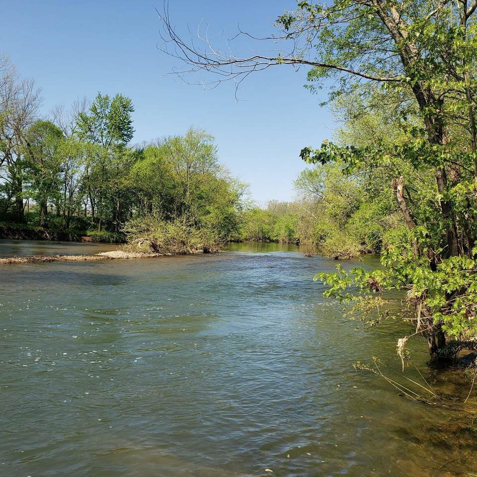 6914 Coon Creek Road - Photo 1 6914 Coon Creek Road - Photo 1