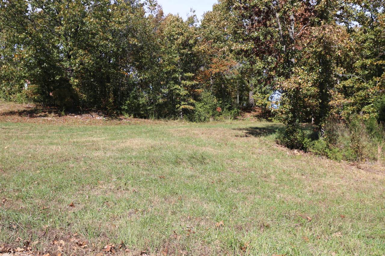 000 Wild Turkey Road - Photo 1
