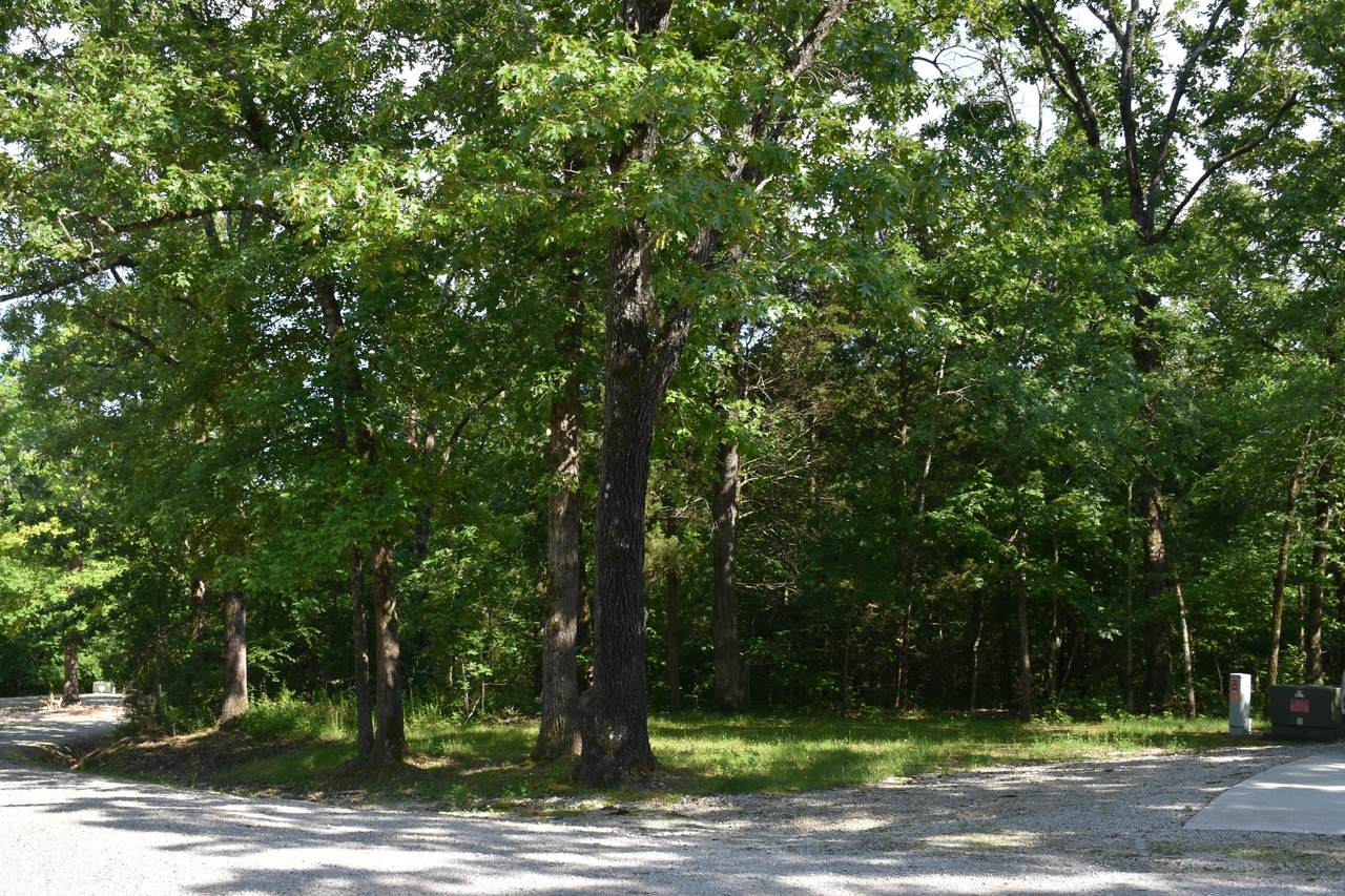 Lot 10 Oak Tree Point - Photo 1