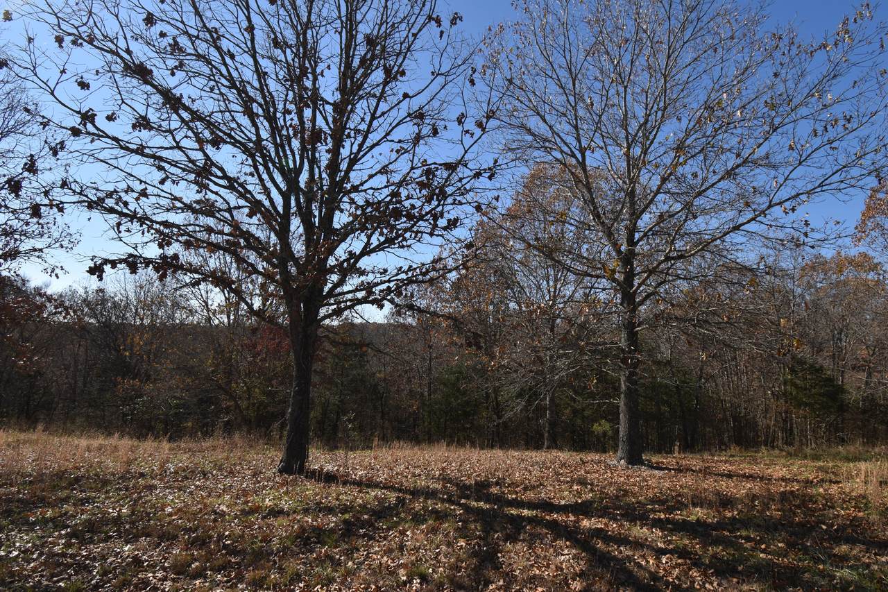 Lot 151 Panorama Drive - Photo 1