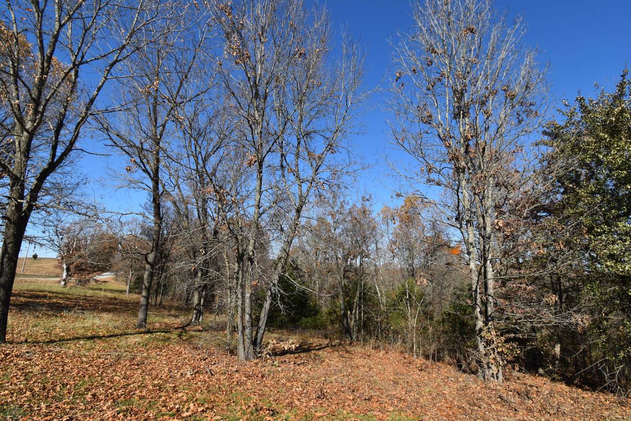 Lot 90 State Hwy 173 - Photo 1
