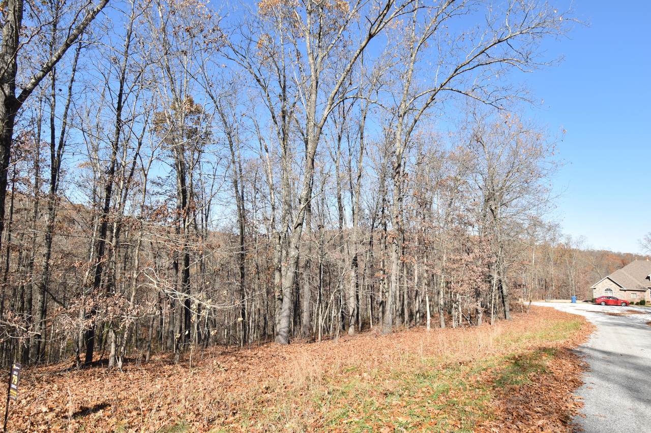 Lot 79 Lostinwoods Lane - Photo 1