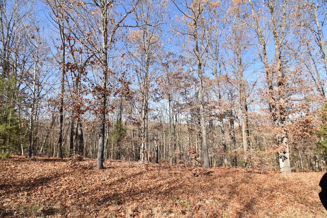 Lot 75 Jeffery Lane - Photo 1