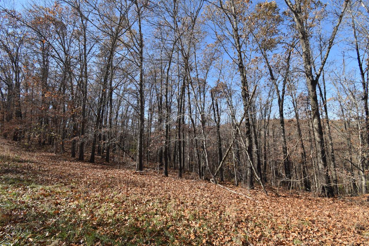 Lot 70 Jeffery Lane - Photo 1