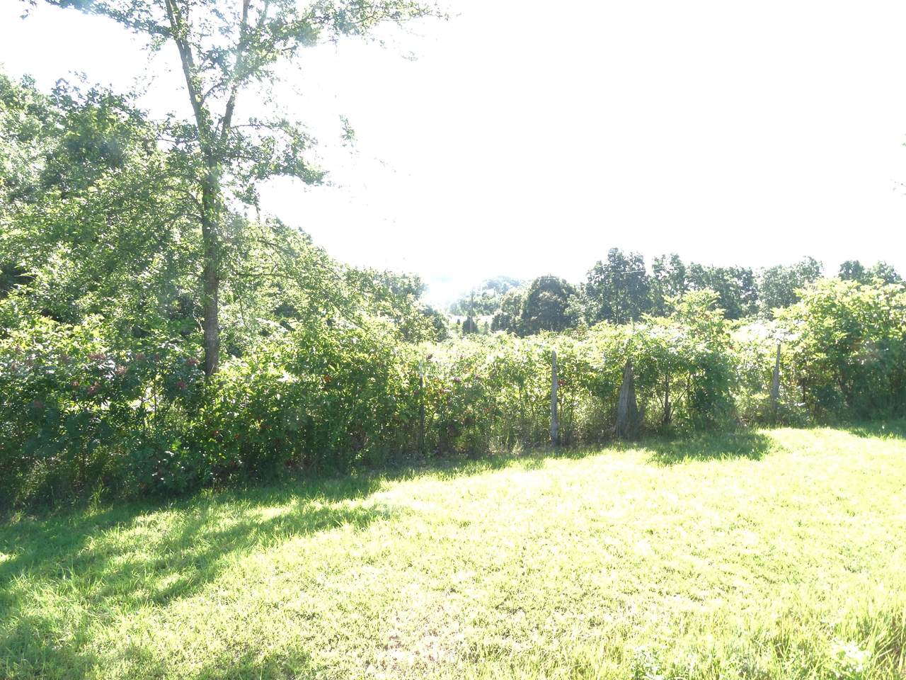 000 State Highway 13 & 413 - Photo 1